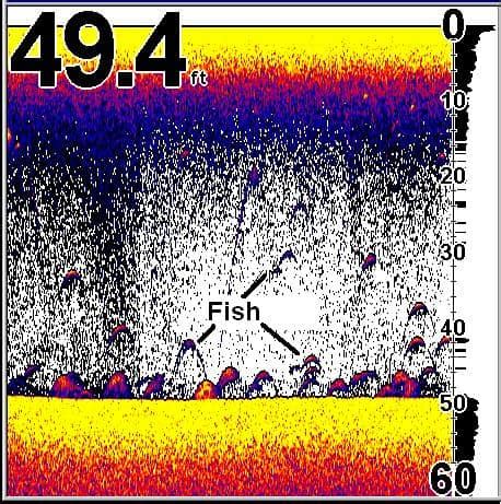fishfinder  walleye fishing sonar basics