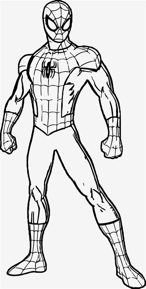 marvelous image   spiderman coloring pages davemelillocom