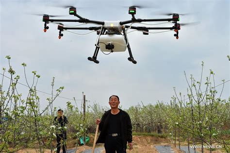 drones spray pesticide   china chinaorgcn
