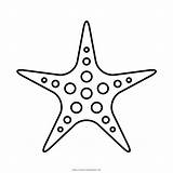Starfish Drawing Line Paintingvalley Clipart sketch template