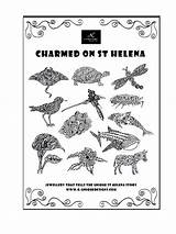Colouring Poster Printable Helena St Charmed Instantly sketch template