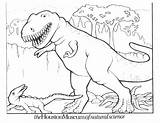 Rex Dinosaurus Dinosaurs Dinozaury Mewarnai Kolorowanki Bestcoloringpagesforkids Sheknows Dinosaurier Gambarmewarnai Drukuj Pobierz Kolorowanek sketch template