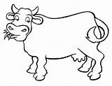 Cow Coloring4free sketch template