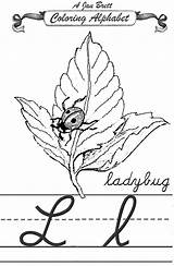 Janbrett Ladybug sketch template