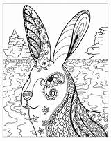 Coloring Pages Zendoodle Winter Wonderland Book Colouring Adult Broderie Adults Getcolorings Zentangles Macmillan Dessins Rabbits Powells sketch template