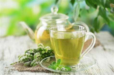 cups  green tea  day  delay cancer onsetdr fujiki