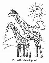 Giraffe Coloring Pages Kids Colouring Drawing Cartoon Color Print Cute Printable Animal Online Silhouette Adults Getdrawings Giraffa Line Animals Funny sketch template
