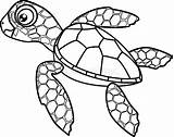 Hatchling Tortue Loggerhead Beeldverhaal Kleurende Zeeschildpad Turtles Annime Ohbq Clipartmag sketch template