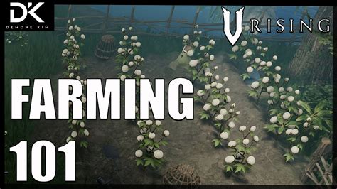 rising     seeds   farm youtube