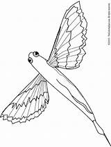 Fish Flying Coloring Pages Gif sketch template