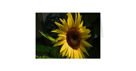 sunflower blank greeting card zazzle
