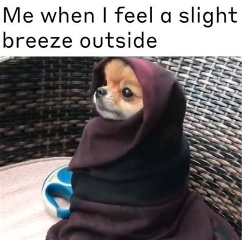 25 ice cold memes for that one friend who s always freezing