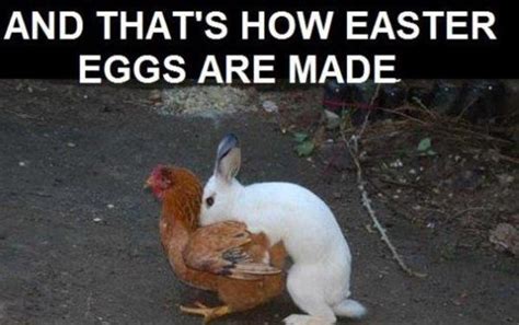 how easter eggs are made rule 34 know your meme