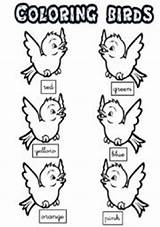 Birds Coloring Worksheet Worksheets Esl sketch template