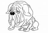 Mastiff Ugglys Maggoty sketch template