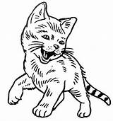 Chaton Coloriage Dessin Coloriages Mignon Imprimer Trop Gatti Gattino Kitten Colorier 1904 Rieur Stampare Heureux sketch template