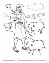 Shepherd Jesus Shepherds Flock Tends Tending Getcolorings Shephe sketch template