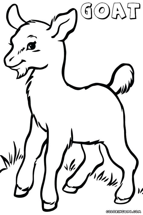 baby goat coloring pages printable coloring pages