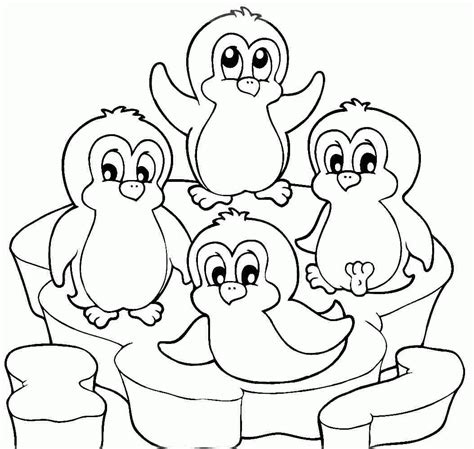 penguin coloring pages  printable