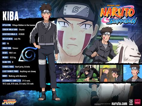 Naruto Characters Kiba