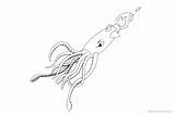 Squid Coloring Pages Printable Adults Kids sketch template