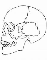 Coloring Pages Skull Crossbones Getcolorings Bones sketch template
