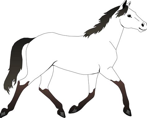 horse outline    clipartmag