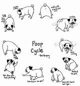 Pug Poop Coloring Cycle Pugs Cute Pages Baby Pooping Humpug Bah Dog Just Process Does Drawn Printable Print Times Circles sketch template