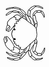 Crabs Coloring Pages Print Crab Kids Color Acoloringbook Coloringkids sketch template