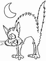 Coloring Cat Halloween Pages Scaredy Color Scary Happy sketch template