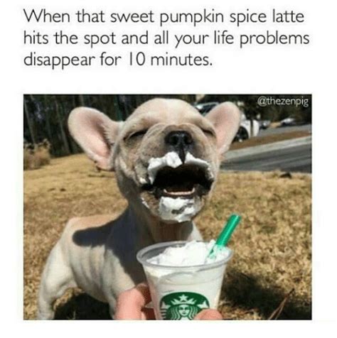18 Memes For The Pumpkin Spice Loving Basic White Girls