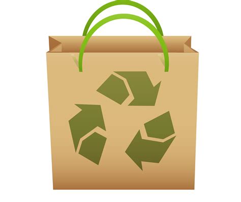 eco friendly alternatives  plastic bags