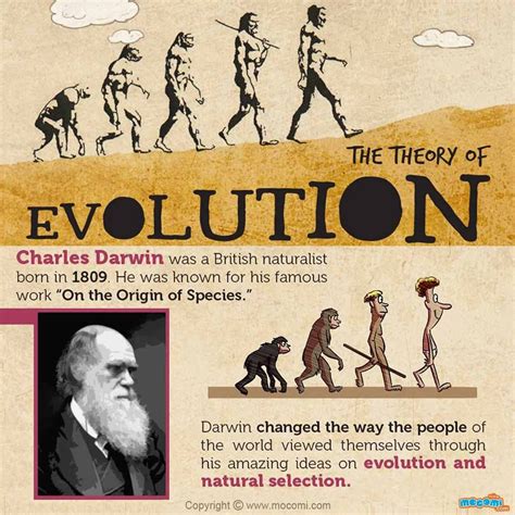 charles darwin theory  evolution kaylinkruwmccarthy