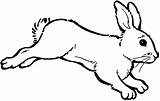 Bunny Coloring Hopping Pages Outline Rabbit Kids Drawing Color Clipart Play Clipartbest Getdrawings Clipartmag sketch template