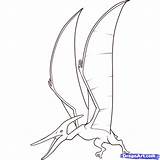 Pteranodon Reptile sketch template