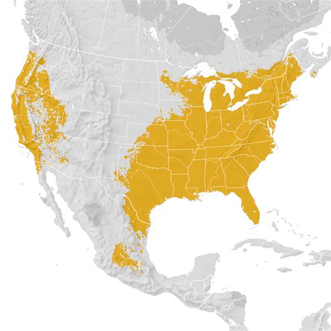 red shouldered hawk range map post breeding migration ebird status