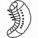 Grub Silkworm Larvae Pupa Larva Maggot Larval Clipartmag sketch template