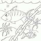 Fish Coloring Chain Pages Desenho Peixinhos Seipp Dave Drawn sketch template
