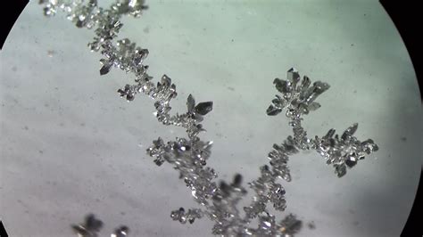 grow silver crystals  electrochemistry  pictures instructables