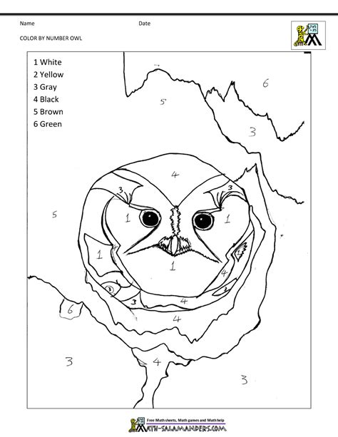 color  number pages