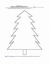 Coloring Evergreen Popular Trees sketch template