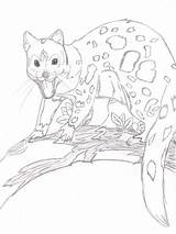Quoll Spotted Ookami Tora Tail Deviantart sketch template