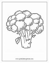 Coloring Broccoli Worksheet Seed Bean Getcolorings Lima Getdrawings Worksheeto sketch template