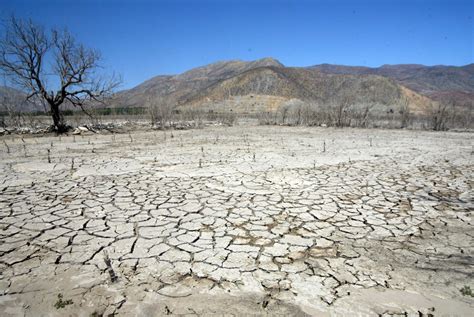 Sequía Deforestación Y Basura Son Los Temas Ambientales Que Más
