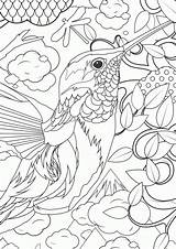 Coloring Kids Pages Fun Older Para Adultos Colorear Paisajes Library Clipart Mayores sketch template