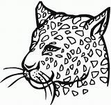 Coloring Leopard Pages Kids Popular sketch template