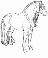 Para Caballos Horse Coloring Pages Colorear Imprimir Pintar Drawings Line Fino Animal Horses Paso Sketches Animals Dibujos Color Clipart Choose sketch template