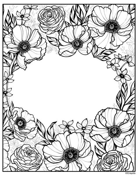 color   rose coloring  flower coloring page  adults