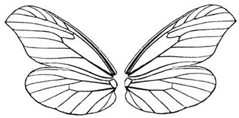 images  butterfliesinsects  pinterest coloring pages