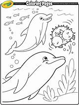 Dolphins Crayola Lumba Mewarnai Delfini Adults Ikan Teman sketch template